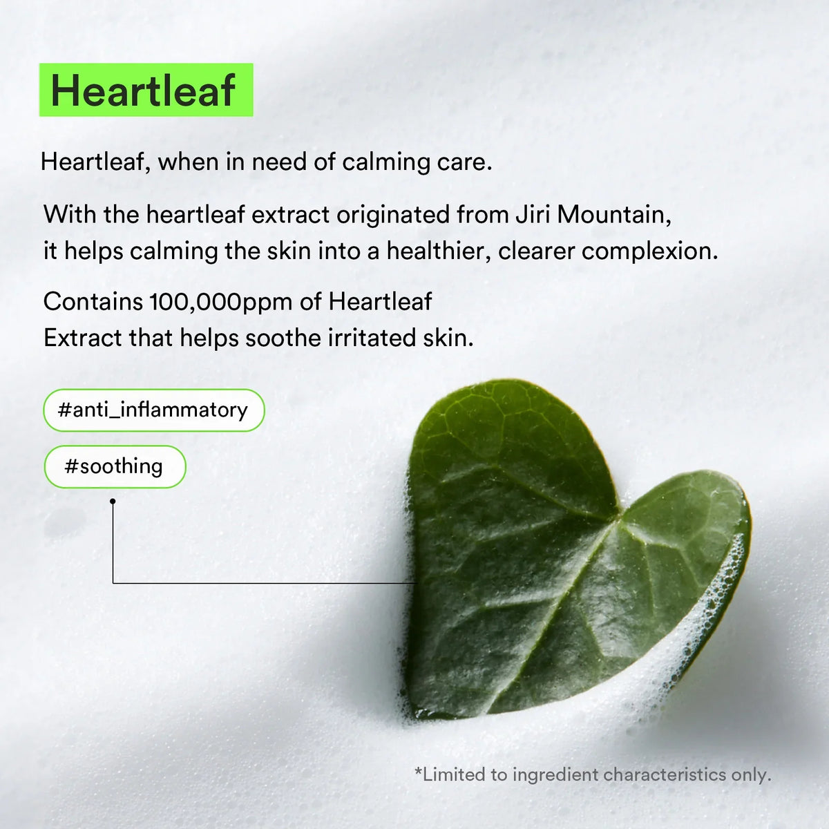 Abib Mild Foam Cleanser Heartleaf Foam - 150ml
