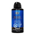 Bath & Body Works Ocean Body Spray